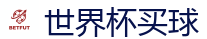 世界杯买球_FIFA世界杯 (FIFA World Cup)官方竞猜指定平台